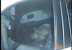Flirt4Free-萨沙阳光明媚是一个金发碧眼的女人大，自然，丝袜 世界十大色情明星