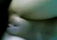 多汁的油，胖乎乎的日立猫，以及成年人 顶级10色情明星在世界